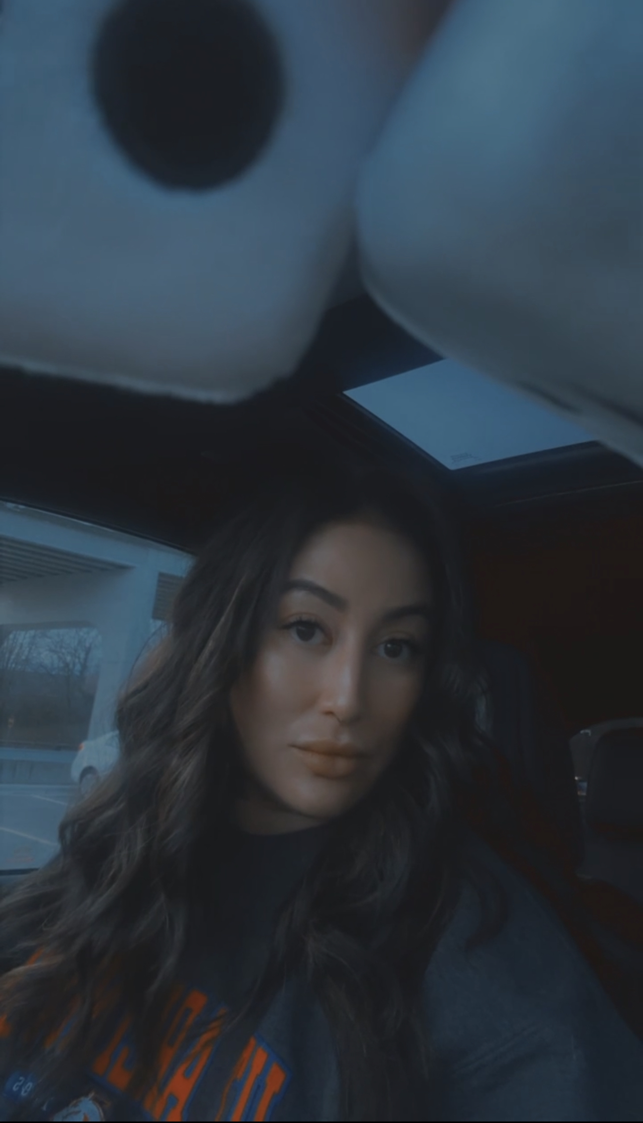 Sonja D